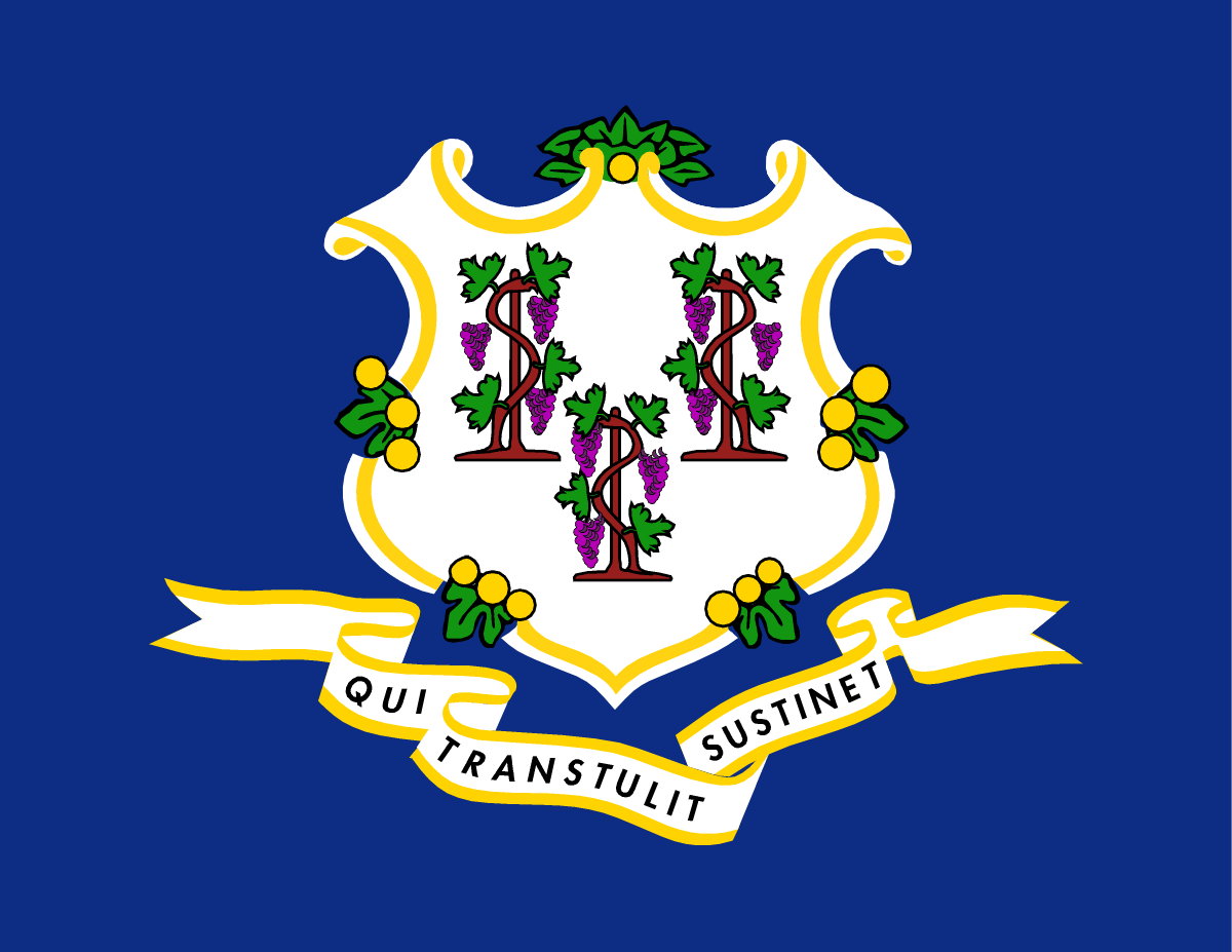 Flag of